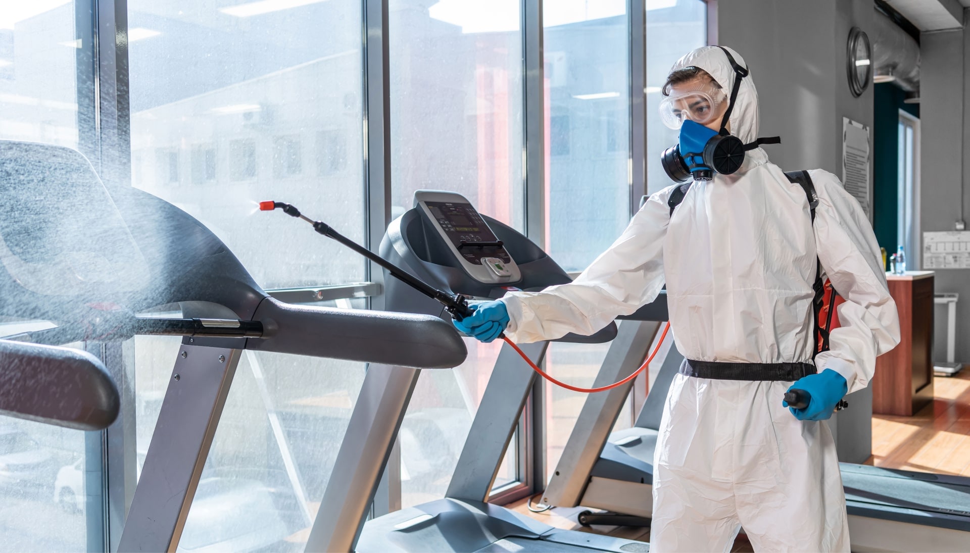 Commercial Mold Removal Services in Knoxville