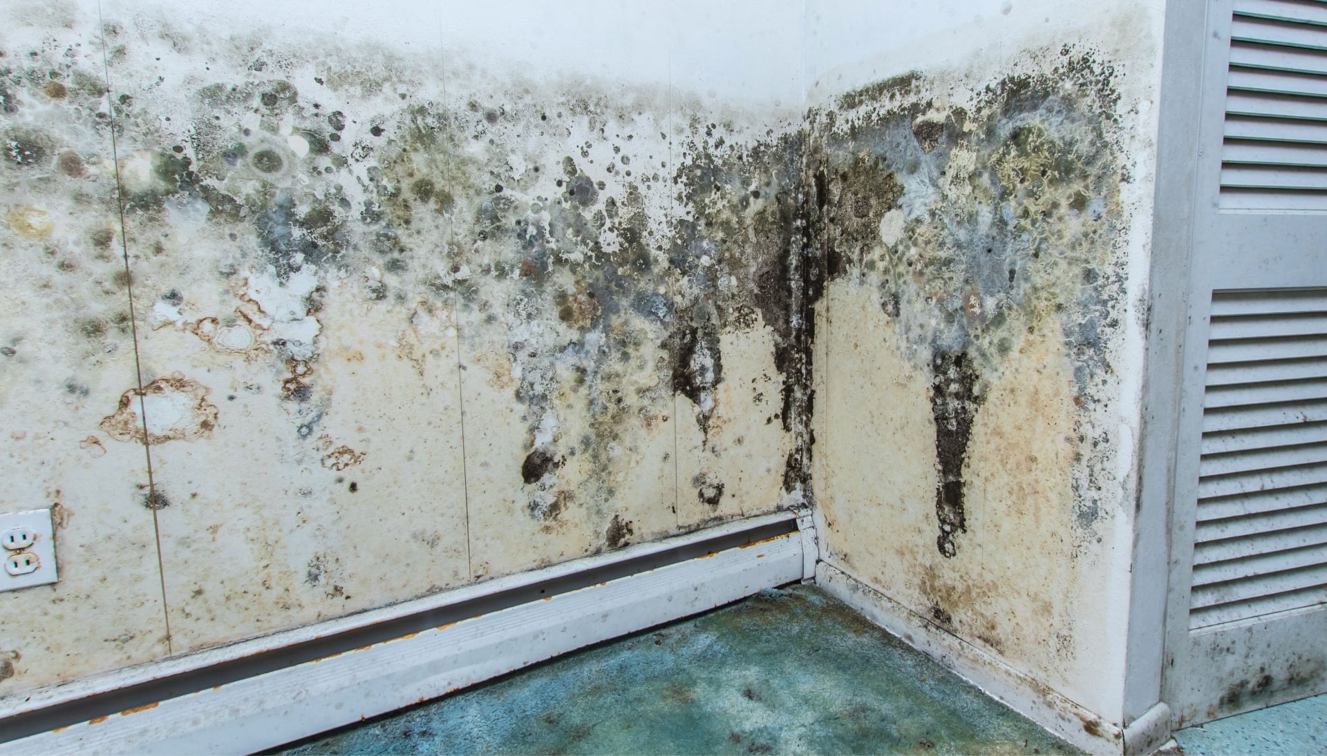 A mold remediation team using specialized techniques to remove mold damage and control odors in a Knoxville property, with a focus on safety and efficiency